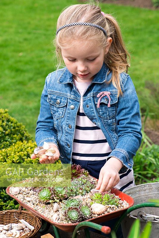 Enfant plantant une brouette jouet avec des plantes succulentes. Étape 10: Ajoutez des coquillages pour la décoration.