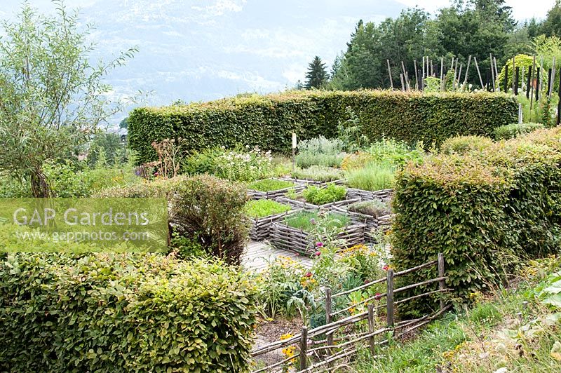 Jardin aux herbes formel, avec des carrés plantés tissés sur les côtés, à l'abri de haies Jardin des Cimes, Chamonix. France. juillet