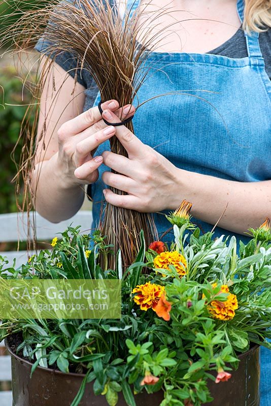 Planter un pot en cuivre avec des plantes de couleur chaude. Détachez soigneusement l'herbe une fois que toutes les plantes environnantes ont été placées.