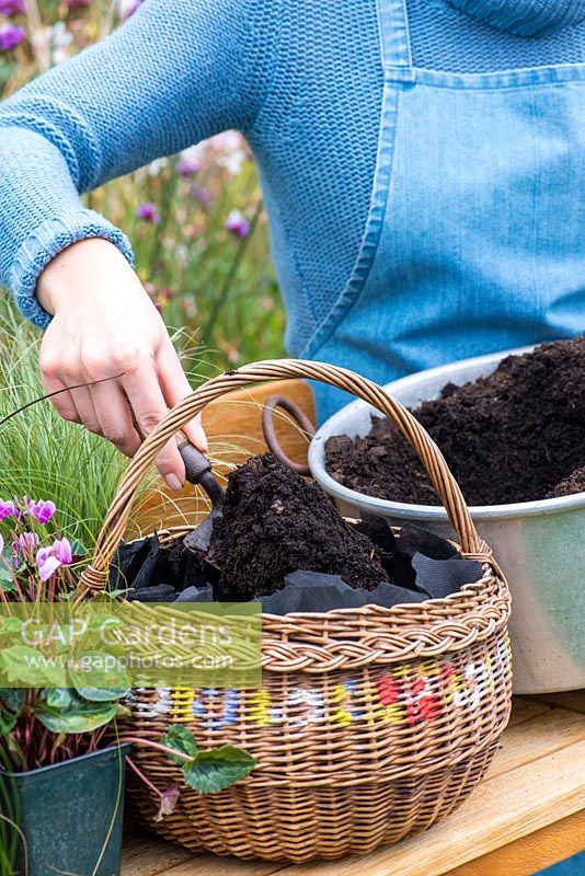 Planter un panier suspendu au début de l'automne. Ajouter du terreau d'empotage.