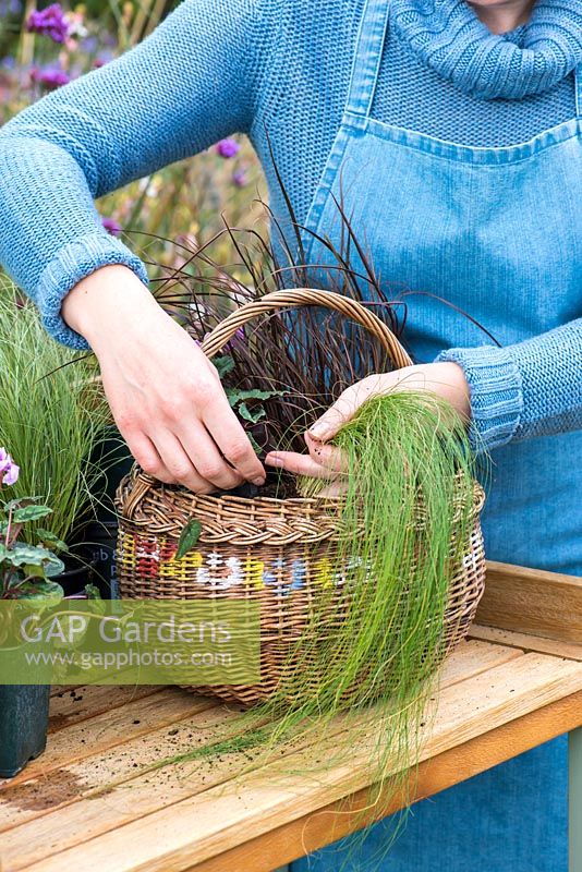 Planter un panier suspendu au début de l'automne. Plantez le panier, en commençant par de petites plantes traînantes près du bord et placez les plus hautes au centre.
