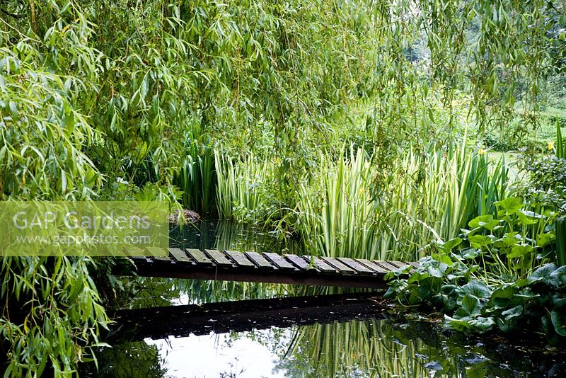 Pont de promenade en pente à travers l'étang avec le drapeau jaune panaché Iris pseudacorus 'Variegata' et le feuillage de Caltha palustris - souci des marais. Salix x sepulcralis var. chrysocoma - saule pleureur