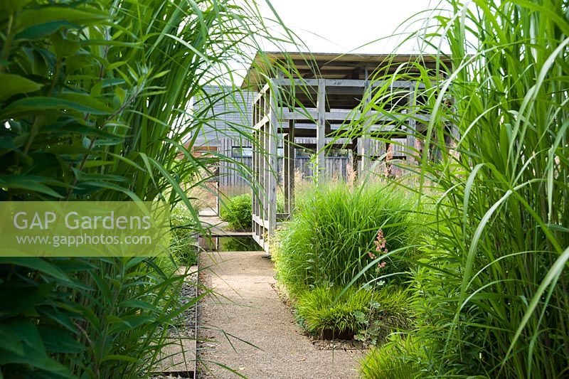 Au centre du jardin avant minimaliste, conçu par Christopher Bradley-Hole, se trouve un pavillon d'été contemporain en chêne vert entouré de hauts miscanthus, molinias et Macleaya microcarpa 'Spetchley Ruby '. Bury Court Barn, Bentley, Hants, UK