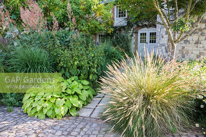 Le Courtyard Garden conçu par Piet Oudolf et John Coke propose des combinaisons d'herbes et de vivaces, notamment des hostas, des phlomis et des macleaya. Bury Court Barn, Bentley, Hants, Royaume-Uni