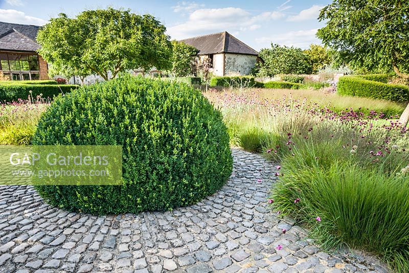 Le Courtyard Garden conçu par Piet Oudolf et John Coke présente un dôme de boîte tondue entouré d'un parterre d'herbes mélangé avec du Dianthus carthusianorum rose. Bury Court Barn, Bentley, Hants, Royaume-Uni