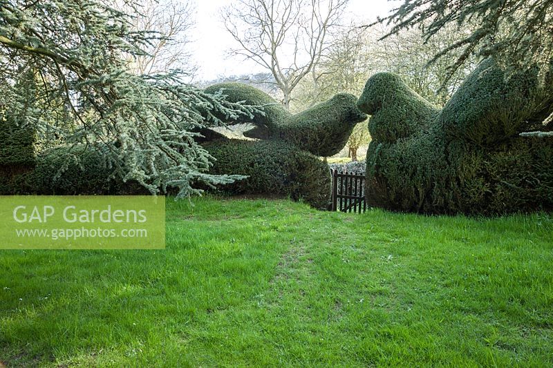 Passerelle en haie d'if topiaire encadrée d'oiseaux. Little Malvern Court, Worcestershire, Royaume-Uni