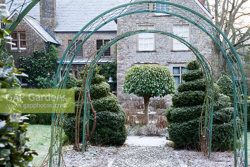 Des arcs de roses et des sphères de boîte coupées encadrent une vue vers le bas dans le jardin de la cour où les baies standard sont coupées en forme de parapluie.