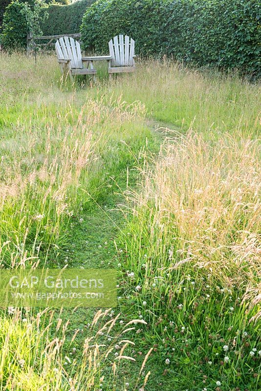 Chemin tondu dans les hautes herbes avec des chaises Adirondack