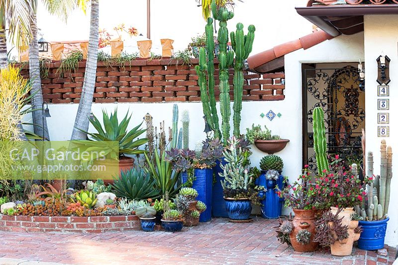 Voir l'assortiment de succulentes et de cactus en pots au jardin de Jim Bishop. San Diego, Californie, USA. Août.