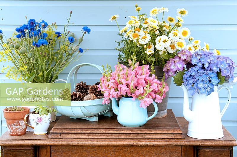 Fleurs coupées disposées dans divers pots contre un cabanon en bois bleu