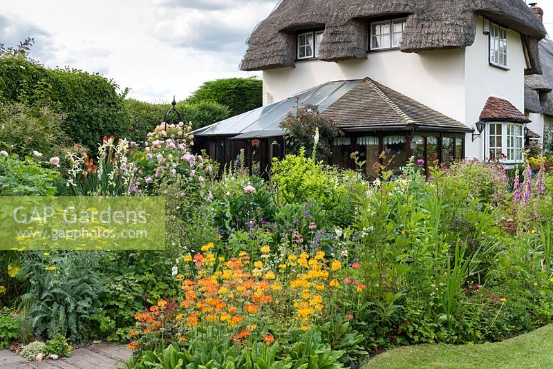 Un jardin de cottage avec un parterre de fleurs mélangé de cadelabra primula, achillea, nepeta, paeonia roses 'Fantin Latour' et 'Phyllis Bide' sur obélisque, coquelicots, géranium et digitales.