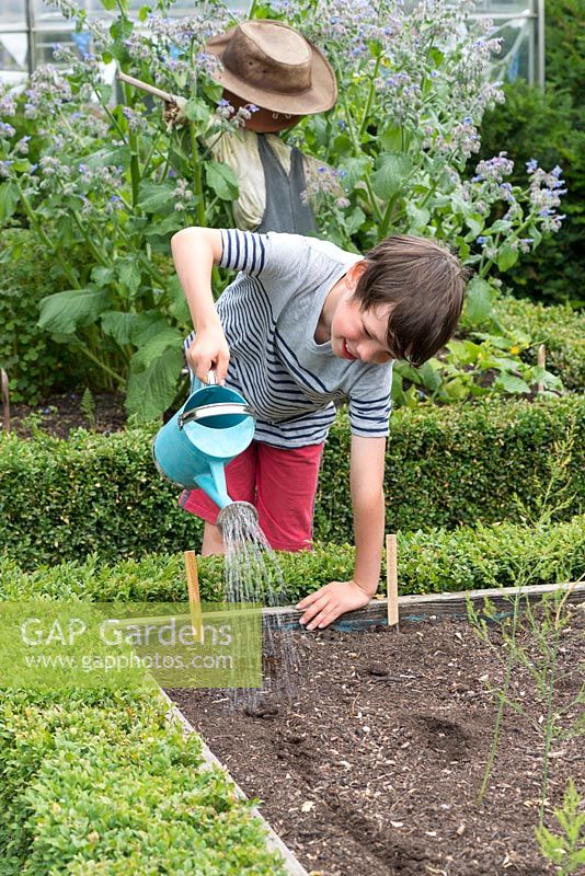 Oscar Isaac, 8 ans, arrose les graines nouvellement plantées dans son potager.