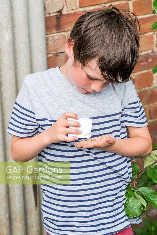 Oscar Isaac, 9 ans, verse des graines dans la paume de sa main, prêt à se disperser.
