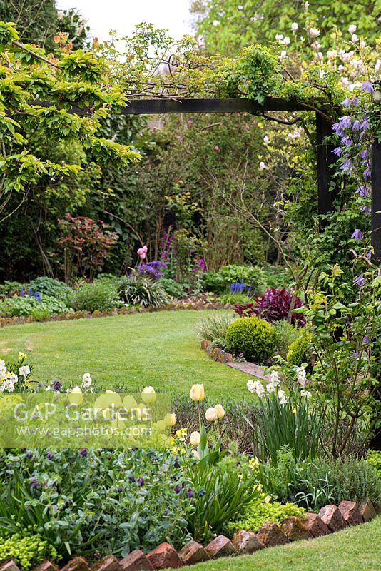Un jardin printanier avec un parterre de fleurs de Tulipe jaune 'Elégance frangée', de Narcisse 'Cheerfulness' et de millepertuis par un chemin en herbe.