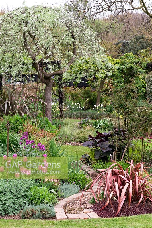 Un jardin de printemps avec des parterres de fleurs mixtes et un chemin menant à Pyrus salicifolia 'Pendula '.