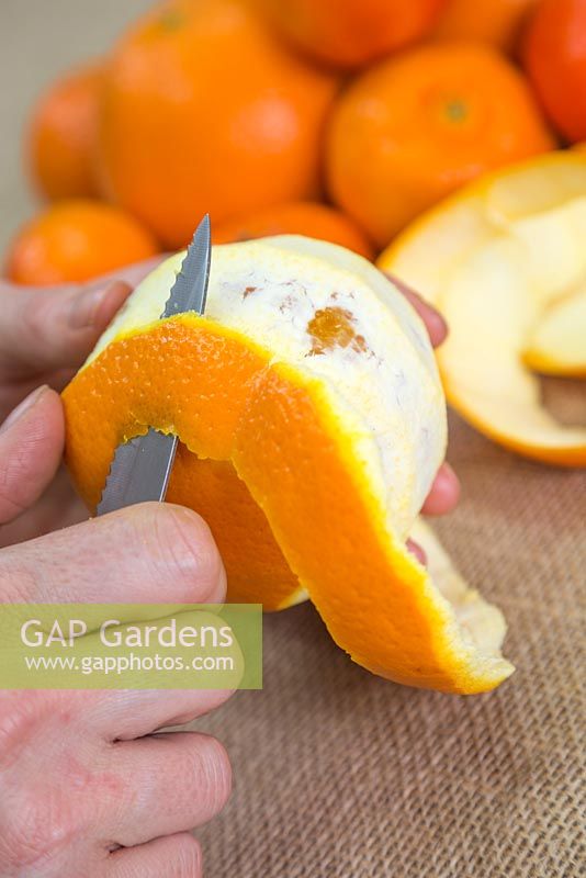 Reposez l'orange dans votre main de rechange et pelez doucement avec une spirale descendante
