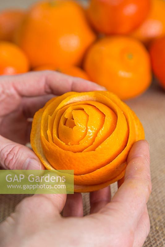 Zeste d'orange enroulé autour de lui pour créer une tête en forme de fleur