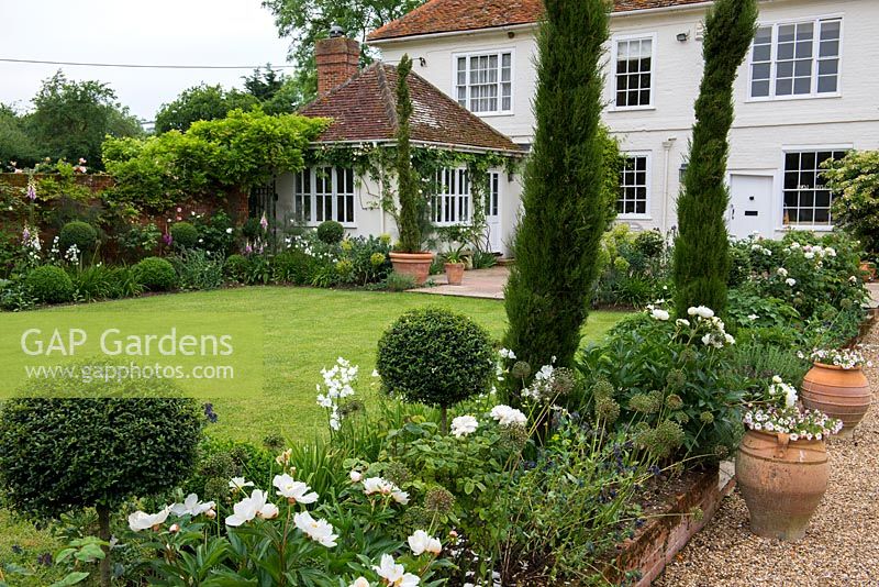 Un jardin intérieur avec pelouse et parterres de cyprès italiens, troènes, Paeonia 'Krinkled White', digitales et Rosa blanche 'Winchester Cathedral '.