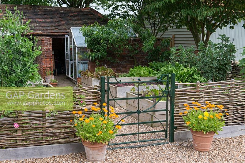 Le potager avec portail métallique, clôture noisetier tissée, soucis en pots et bordures végétales surélevées en planches de bois