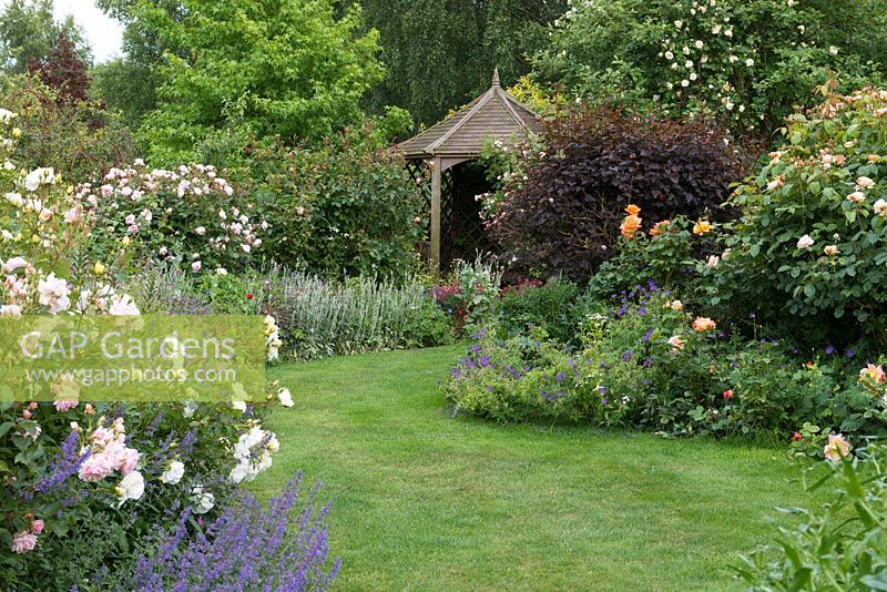La clairière - un chemin d'herbe incurvé mène à une maison d'été en bois à travers des parterres de géraniums, de nepeta, de virburnum et de Rosa 'Tall Story', 'Felicia', 'Geoff Hamilton', 'Whisky Mac', 'Sweet Juliet '.