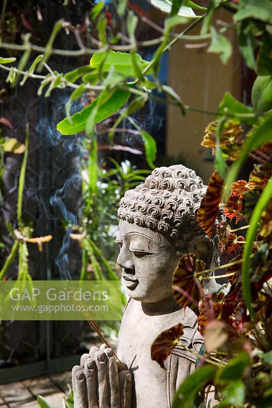 Détail du jardin montrant la paroi végétale de diverses plantes, y compris le bégonia et les plantes succulentes, avec statue de Bouddha et encens.
