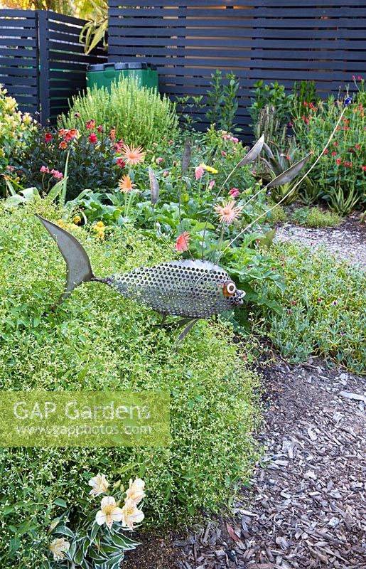 Jardin avec sculpture de poisson par Ulric Steiner nageant parmi une mer d'euphorbes naines 'Diamond Frost '. Derrière elle, des gerberas en fleurs