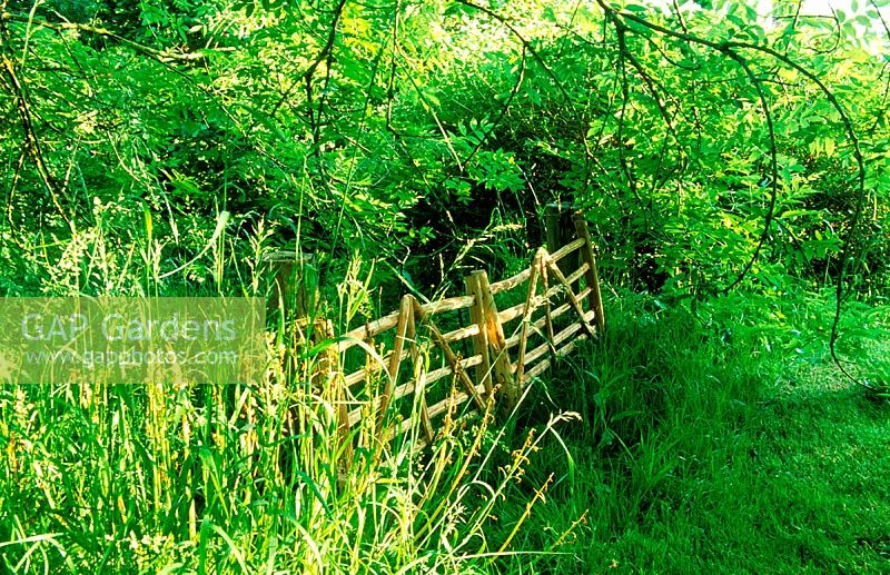 Porte en bois. Ferme de Court Lane. Wiltshire