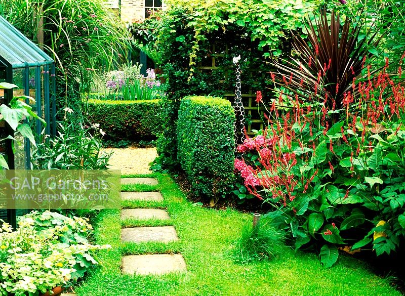 Jardin Allerton Rd. Petit jardin de ville avec une sensation exotique. Plantes vertes tropicales et caractéristiques intéressantes, fin de l'été