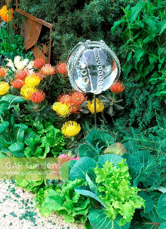 Chelsea Flower Show 2003: Hasmead Octopus garden. Conception: Marney Hall. Ornement boule en verre conçu par: Owen Bush, entouré de cryptomeria protea, courgettes et laitue