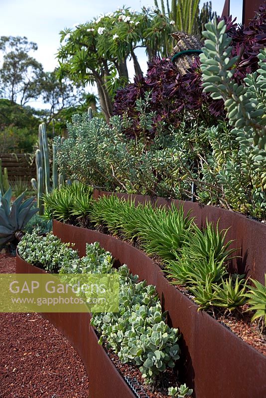 Jardins botaniques royaux, Sydney, Australie, Cactus et jardin succulent