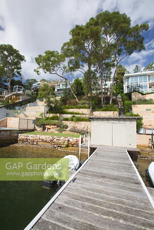 Vue depuis le quai de bois vers le jardin en terrasses abruptes de la propriété du port avec des gommiers rouges de Sydney, Angophora costata