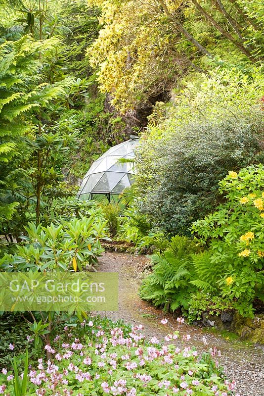 Attadale, Strathcarron, Écosse. Géraniums rustiques, Azalea luteum et fougères par fougère à dôme géodésique