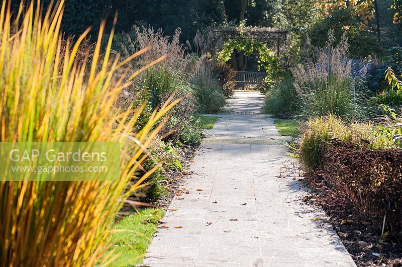 Un chemin traversant les parterres de fleurs du centenaire en novembre au Sir Harold Hillier Gardens, Hants, encadré de Panicum virgatum jaune vif et vert 'North Wind'