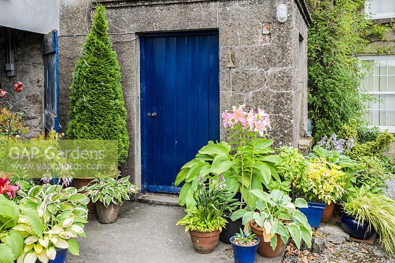 Porte d'entrée bleue entourée de pots d'hostas, de lys et de conifères coupés. Le Bay Garden, Camolin, Co Wexford, Irlande