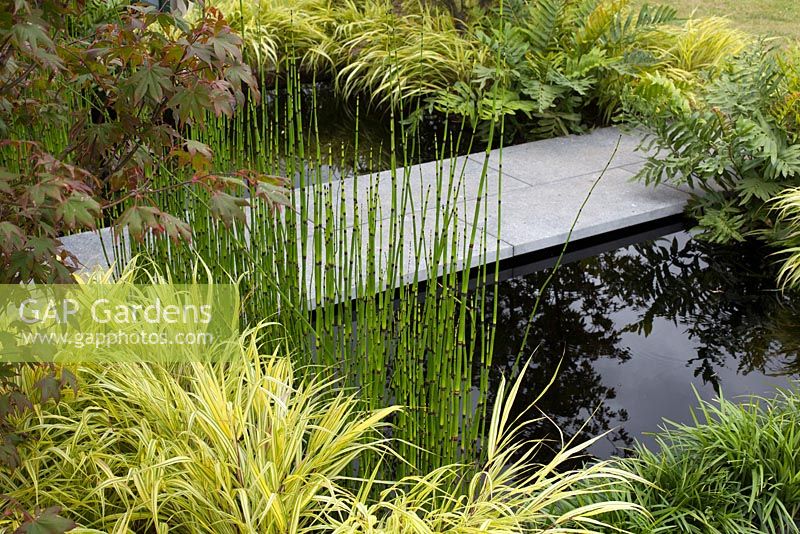 Petit jardin oriental contemporain et moderne utilisant uniquement le feuillage, la forme et la texture pour susciter l'intérêt pour le jardin 'Urban Space' au RHS Tatton Flower Show 2015