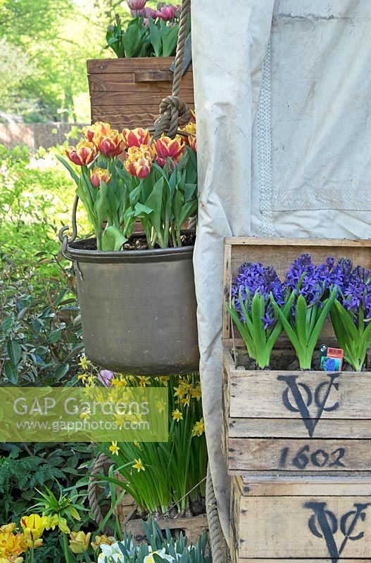 Bouilloire en cuivre remplie de tulipes rouge-jaune. Jardin d'inspiration: l'âge d'or.