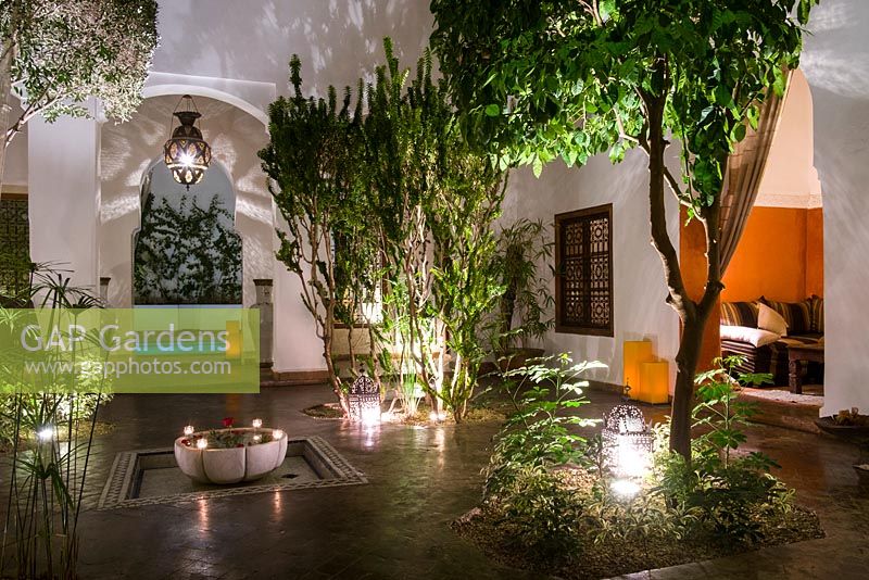Jardin de la cour au Riad l ' Orangeraie, Marrakech, Maroc