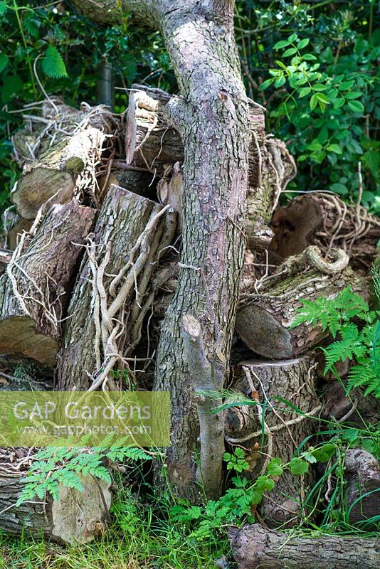 Jardinage de la faune - tas de bois pour encourager la faune.