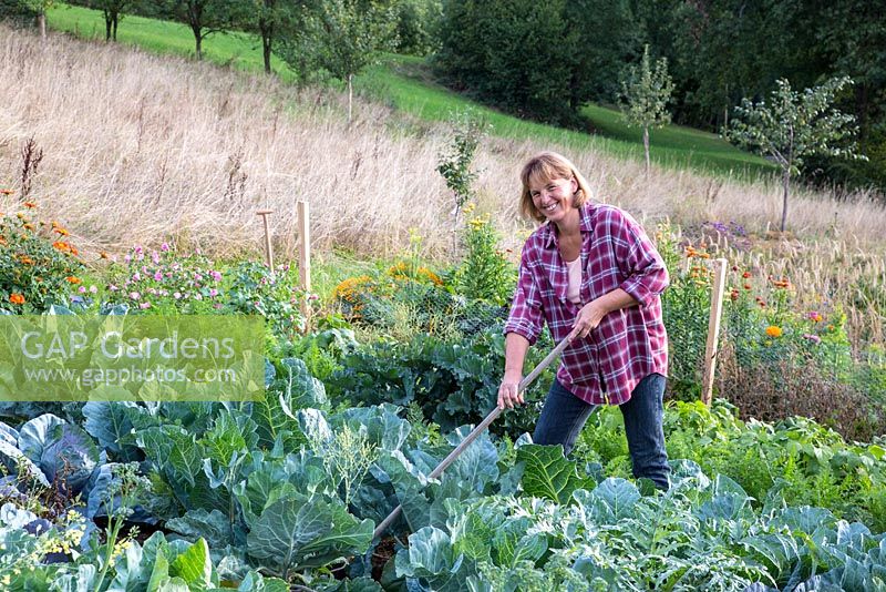 Katrin Schumann travaille son acre de légumes dans la forêt bavaroise. Les plantes sont le brocoli, les salades, l'artichaut, les carottes, le Tithonia rotundifolia et le Zinnia