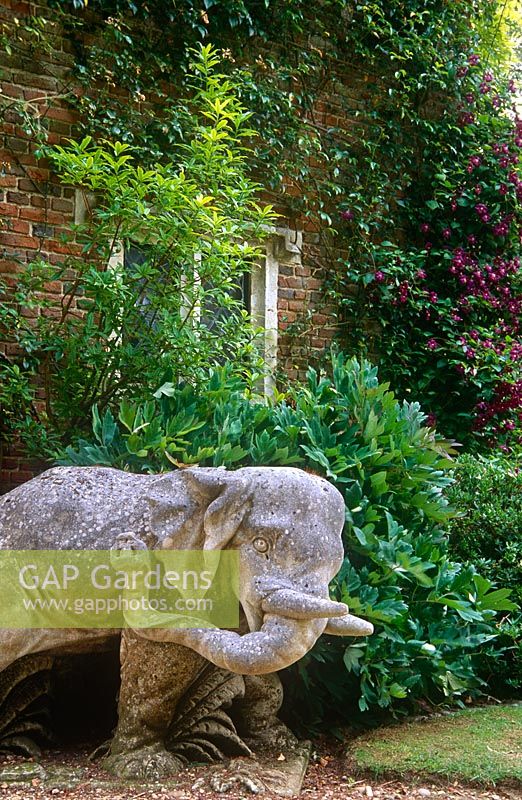 L'un d'une paire d'éléphants encadrant l'entrée de la Cour Sud avec Clématite 'Etoile Violette' escaladant la guérite derrière. Jardin du manoir de Cranborne, Dorset