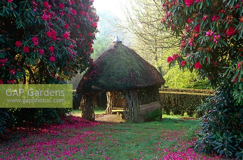 Pavillon au toit de chaume éclipsé par les rhododendrons magenta répandant leurs pétales sur l'herbe environnante