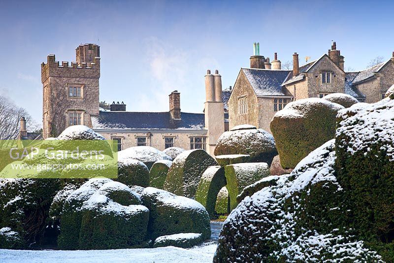 Formes topiaires avec un revêtement de neige à Levens Hall and Garden, Cumbria, Royaume-Uni.