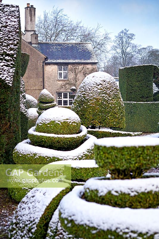 Formes topiaires avec un revêtement de neige à Levens Hall and Garden, Cumbria, Royaume-Uni.