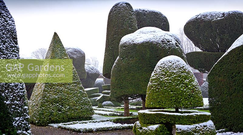Formes topiaires avec un revêtement de neige légère à Levens Hall and Garden, Cumbria, Royaume-Uni.