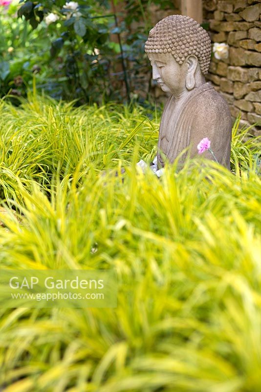 Une zone calme et réfléchie - Un Bouddha est entouré de macra Hakonechloa