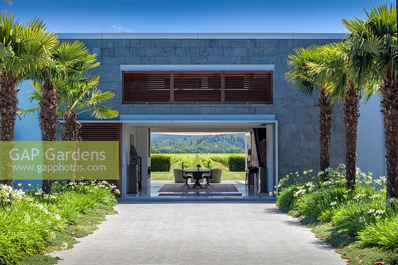 Voir le long de l'avenue de Trachycarpus wagernianus à travers la maison moderne pour les vignobles au-delà au jardin Bhudevi Estate, Marlborough, Nouvelle-Zélande.
