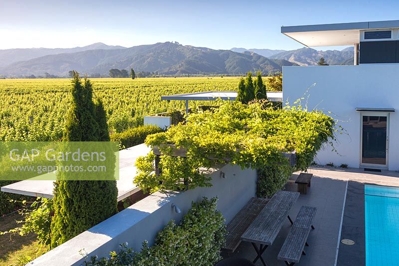 Vignes couvrant une table et un banc à côté de la piscine avec vue sur les montagnes et les vignobles au-delà au jardin Bhudevi Estate, Marlborough, Nouvelle-Zélande.