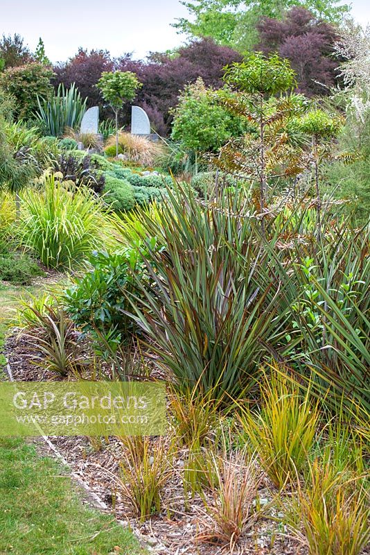 Phormium 'Tom Thumb' et Libertia ixioides 'Goldfinger' au jardin Bhudevi Estate, Marlborough, Nouvelle-Zélande.