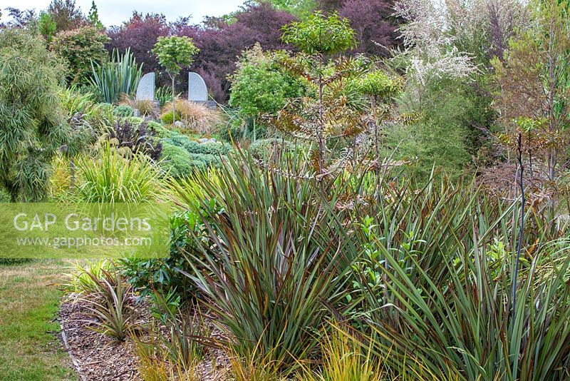Phormium 'Tom Thumb', Libertia ixioides 'Goldfinger' et Kauri Agathus australis au jardin Bhudevi Estate, Marlborough, Nouvelle-Zélande.