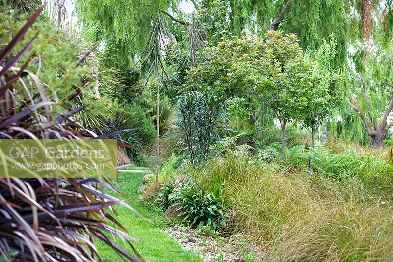 Pseudopanax Linearifolius et diverses herbes et arbustes dans Bhudevi Estate garden, Marlborough, Nouvelle-Zélande.